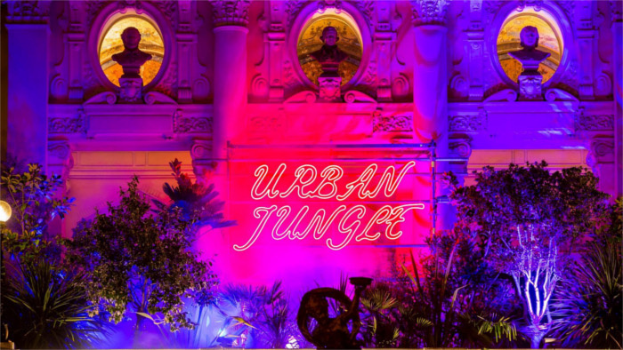Urban Jungle.JPG