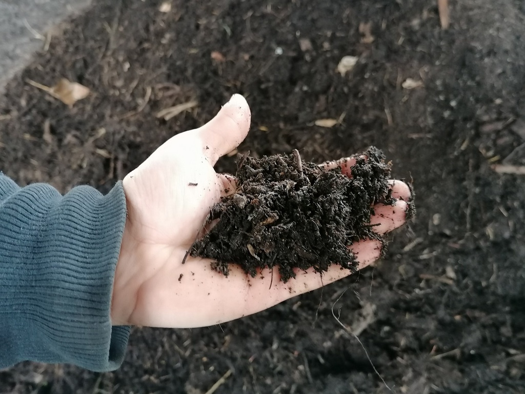 Ruka, na ktorej dlani je kompost