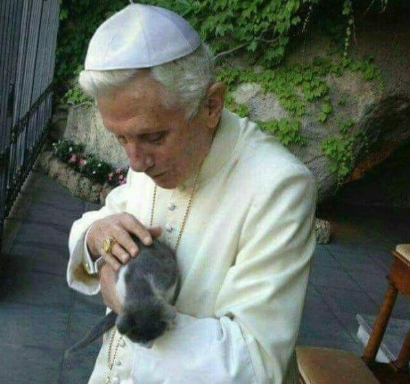 Emeritný pápež benedikt XVI. s mačkou