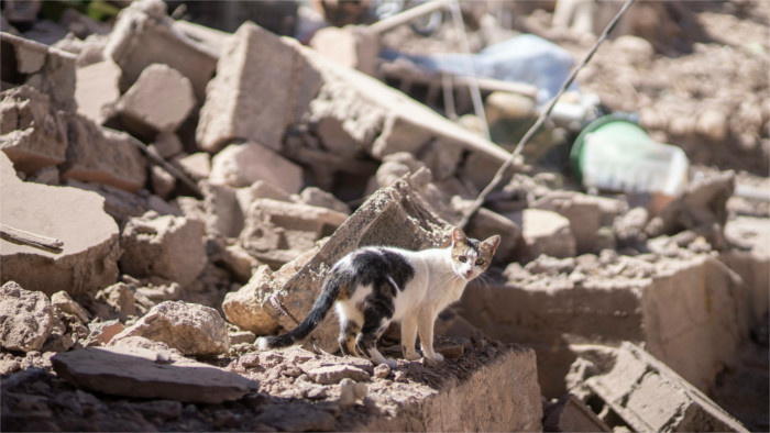 Maroko zemetrasenie obete nárast_TASR.jpg